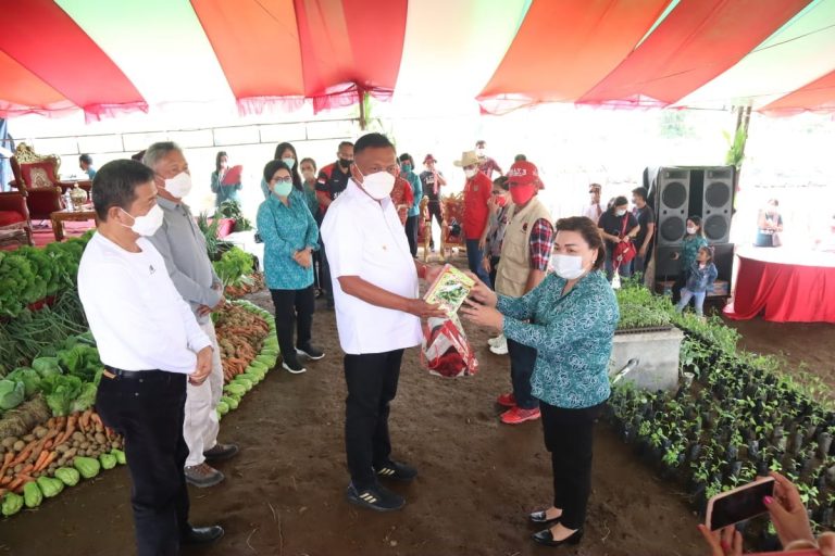 FDW Dampingi OD Serahkan Bantuan Bibit di Modoinding