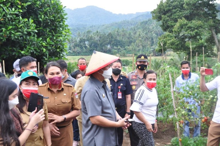 Petra Hadiri Pekan Wisata Pertanian dan Panen Perdana