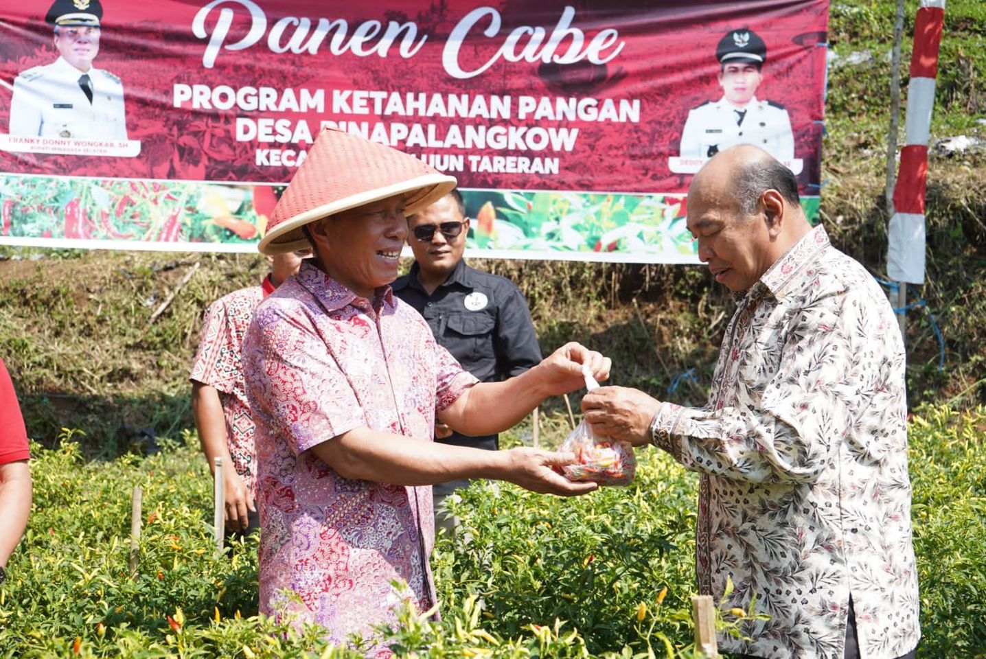 Bupati Resmikan Sejarah Desa Pinapalangkow sekaligus Panen Cabe Ketahanan Pangan Desa